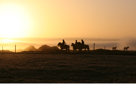 Iceland -Ride, Hot Springs and Whales!